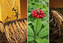 Here is a powerful recipe for a natural remedy that helps eliminate harmful residues left in the intestines.