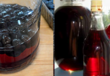 Traditional Remedies That Will Help You Best Cope with the Difficulties Caused by Menopause…