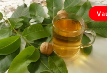 User’s Story: How They Overcame Sclerosis – Effective Recipes