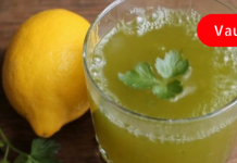 Doctors recommend this drink for patients with high cholesterol! It also helps burn fat!