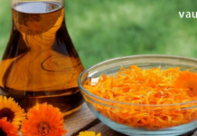Strengthening Properties of Calendula Flowers: Its Extract Is Used in Over 200 Medications!