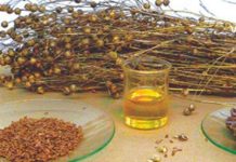 How to Stop Constipation with Prunes, Fennel Seeds, and Flaxseed?! An Excellent Method!