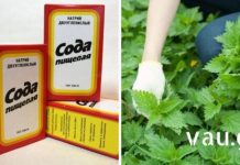 5 Incredible Methods That Our Ancestors Used and That Were Truly Effective