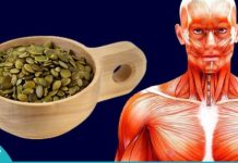 How to Consume Pumpkin Seeds to Reduce Parasites, Cholesterol, Diabetes, and Various Diseases